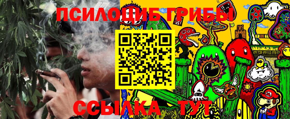 Шахты  Псилоцибиновые грибы прущие грибы  Вход с VPN  Псилоцибиновые грибы GOLDEN TEACHER 